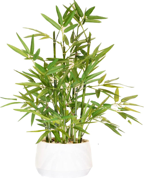365 Blooming Decor 18-Inch Tall Potted ARTIFICIAL Bamboo Plant (Black Pot) - Luxury Artificial Bamboo in Black Textures Pot for Home, Office, Kitchen, Counter Top, Indoor Decor, Money Tree, Lucky Tree